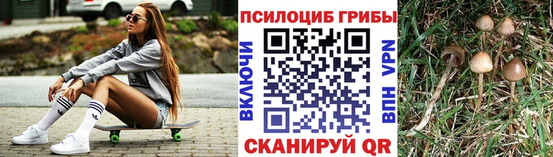 Галлюциногенные грибы Psilocybe  mega ссылки  Когалым 