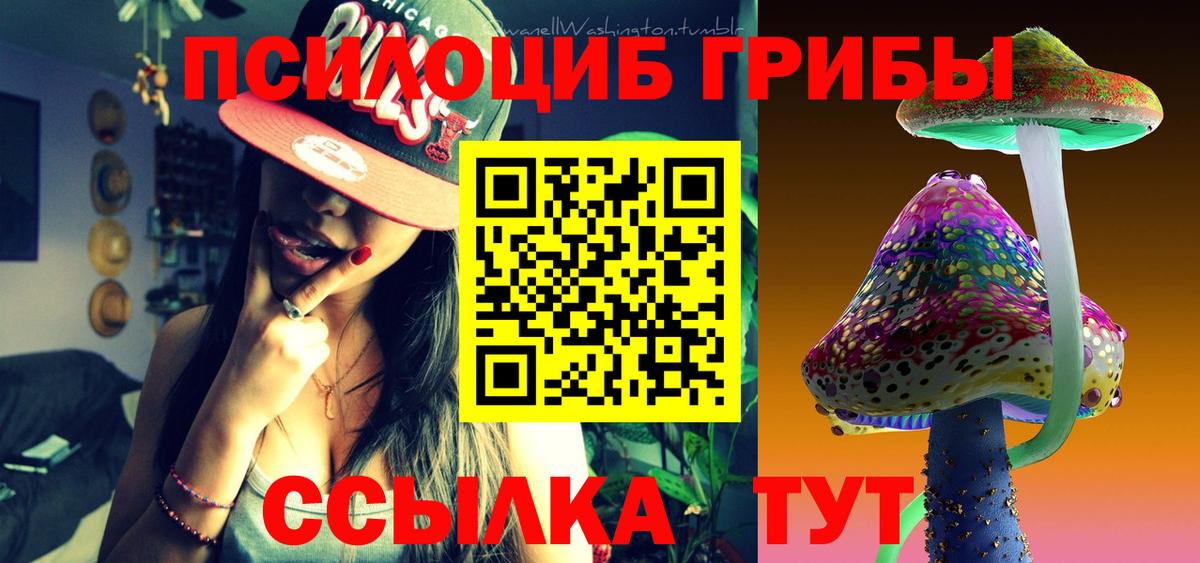 Галлюциногенные грибы мицелий  Вход с VPN  купить наркотики цена  Когалым  Псилоцибиновые грибы мухоморы 